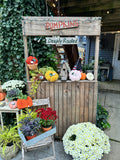 Knitted Pumpkins
